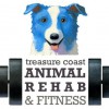 Treasure Coast Animal Rehab & Fitness