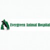 Evergreen Animal Hospital