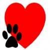 Campbell Village Veterinary Clinic