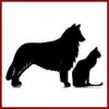 Williston Park Animal Hospital