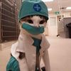 Kingston Veterinary Hospital