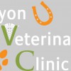 Lyon Veterinary Clinic