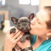 Ferndale Veterinary