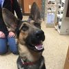Millersburg Animal Clinic