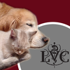 Lakemont Veterinary Clinic