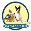 Animal Medical & Surgical Hospital