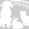Animal Kingdom Veterinary Hospital
