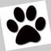 River City Veterinary Hospital