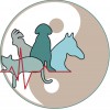 All Vet Care Animal Hospital