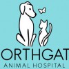 Northgate Animal Hospital