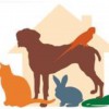 BelaCoop Animal Hospital Of North Park