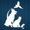 Lakewood Animal Hospital