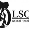 Olson Animal Hospital