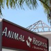 Animal Hospital Of Huntington Beach