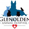 Glenolden Animal Hospital