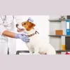 Animal Hospital of Nesbit Ferry Crossing