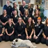 Midtown Veterinary Services & Hospital