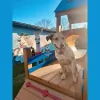 Mannsdale Animal Clinic