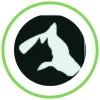 Arborview Veterinary Clinic