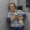 Lindsey's Well Pet Mobile Vet