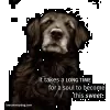 Bridgeville Animal Hospital