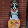 The Pets Doc Veterinary Clinic