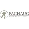 Pachaug Animal Hospital