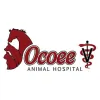 Ocoee Animal Hospital