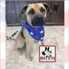 Bunker Hill Veterinary Hospital