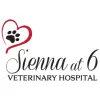 Sienna at Six Veterinary Hospital