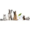 Manhattan Animal Clinic