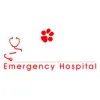 Animal Emergency Hospital