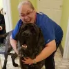 Community Animal Hospital