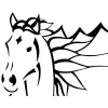 Cascadia Equine Veterinary Clinic