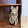 Redkey Veterinary Clinic