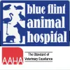 Blue Flint Animal Hospital
