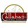 Callahan Drive Animal Hospital