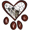 Alta View Veterinary Clinic