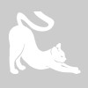 Shepherd of the Hills Veterinary Clinic