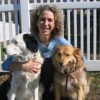 Holistic Vet