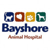 Bayshore Animal Hospital